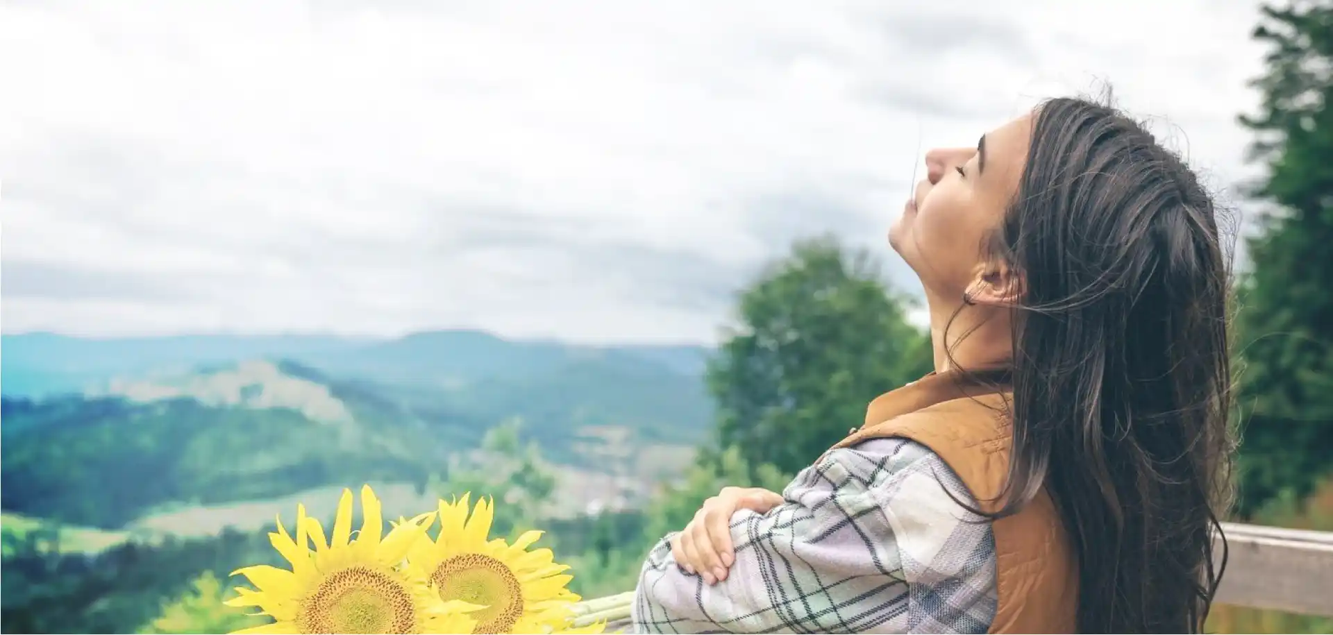 Banner-image-genesis (1)